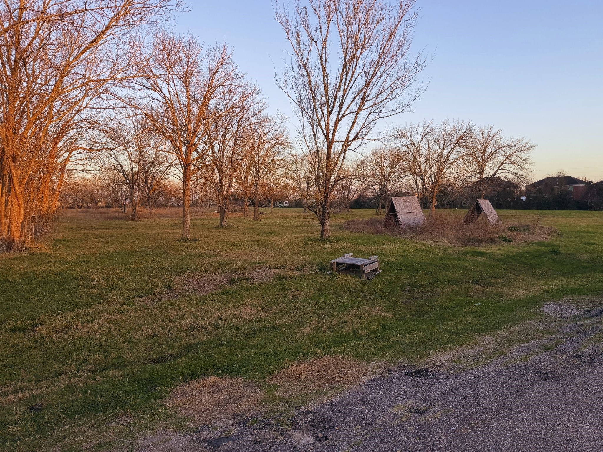 0 County Road 888 Rosharon, TX 77583 - Photo 5 of 6