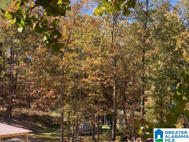 6927 Grey Hill Road West Blocton, AL 35184 - Photo 23 of 58