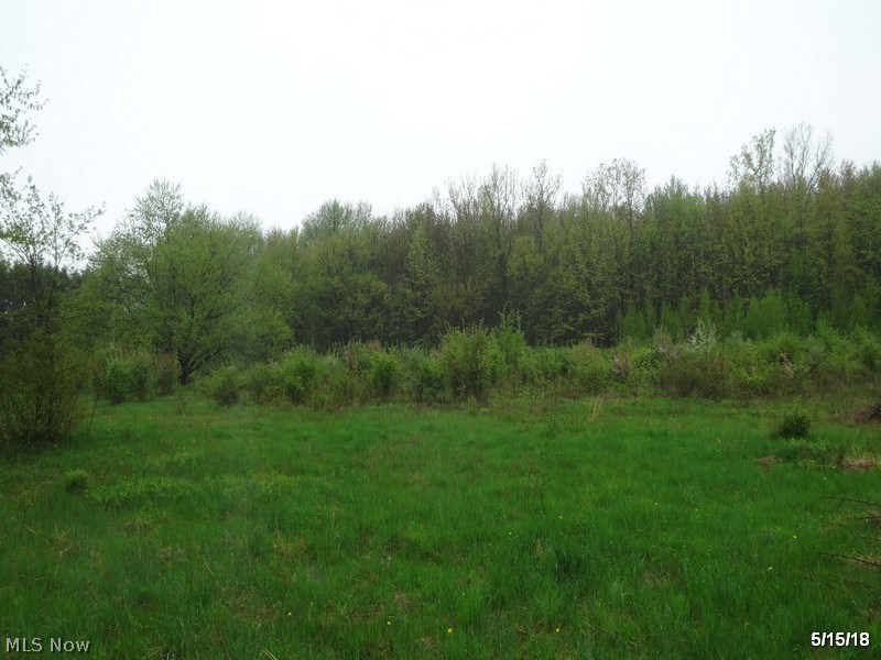 1631 Bennett Road Madison, OH 44057 - Photo 24 of 26