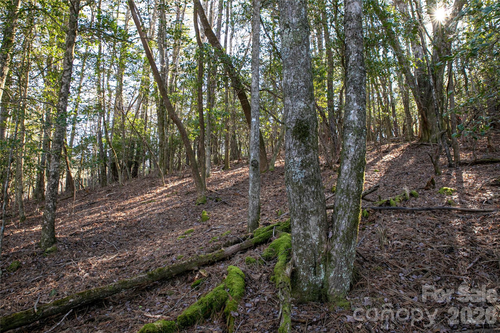 4583 Connestee Trail Brevard, NC 28712 - Photo 41 of 47 Gallery Image 41