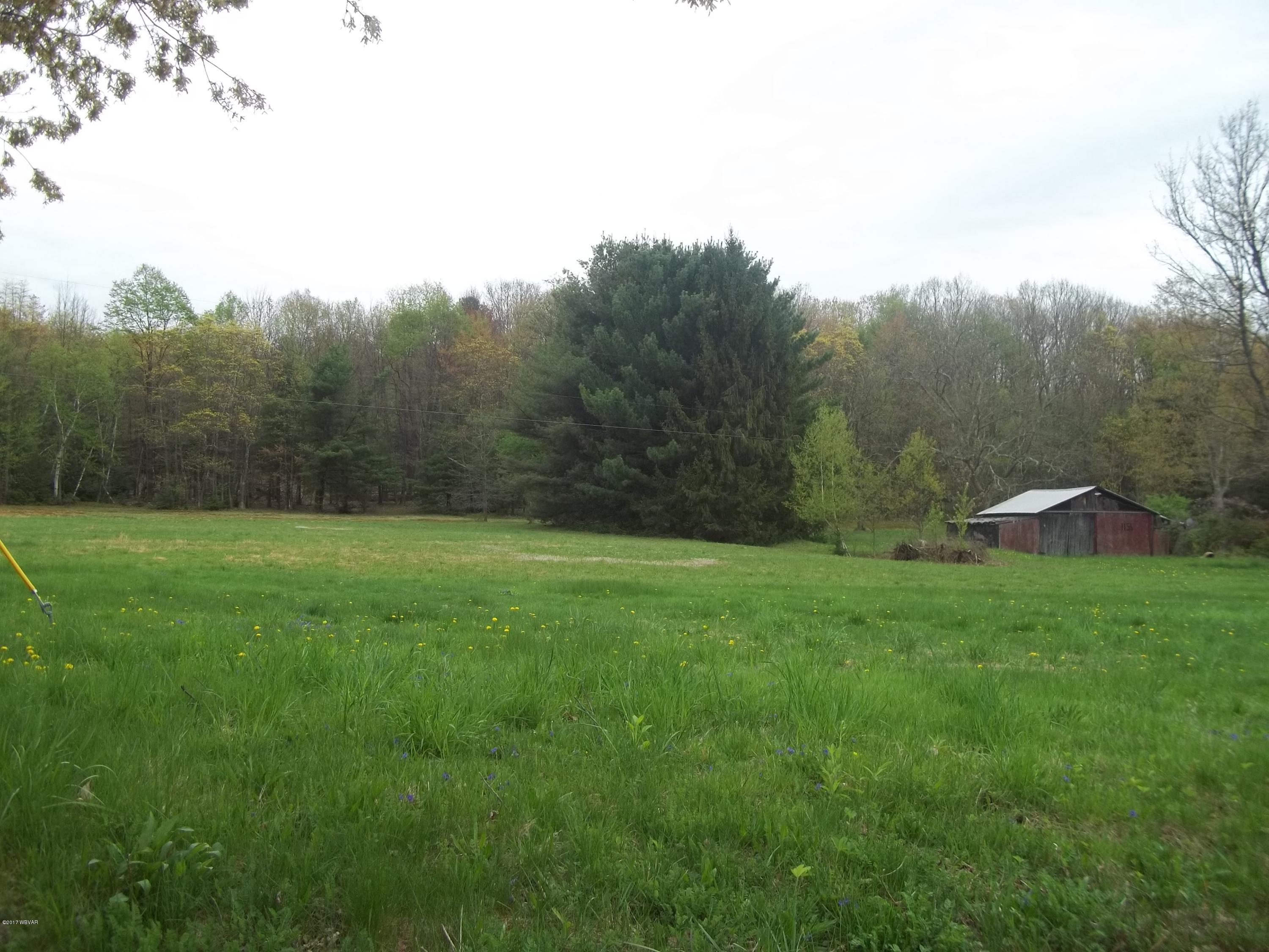 1156 Mordan Hollow Road Unityville, PA 17774 - Photo 6 of 7 100_1342