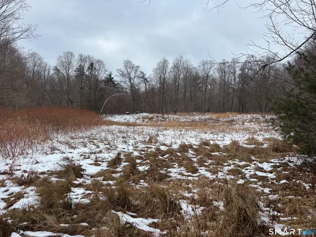 a view of a yard with trees in the background