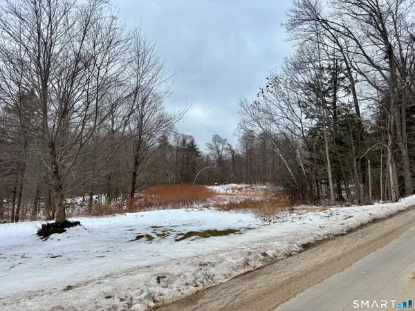 a view of snow on the side of a road