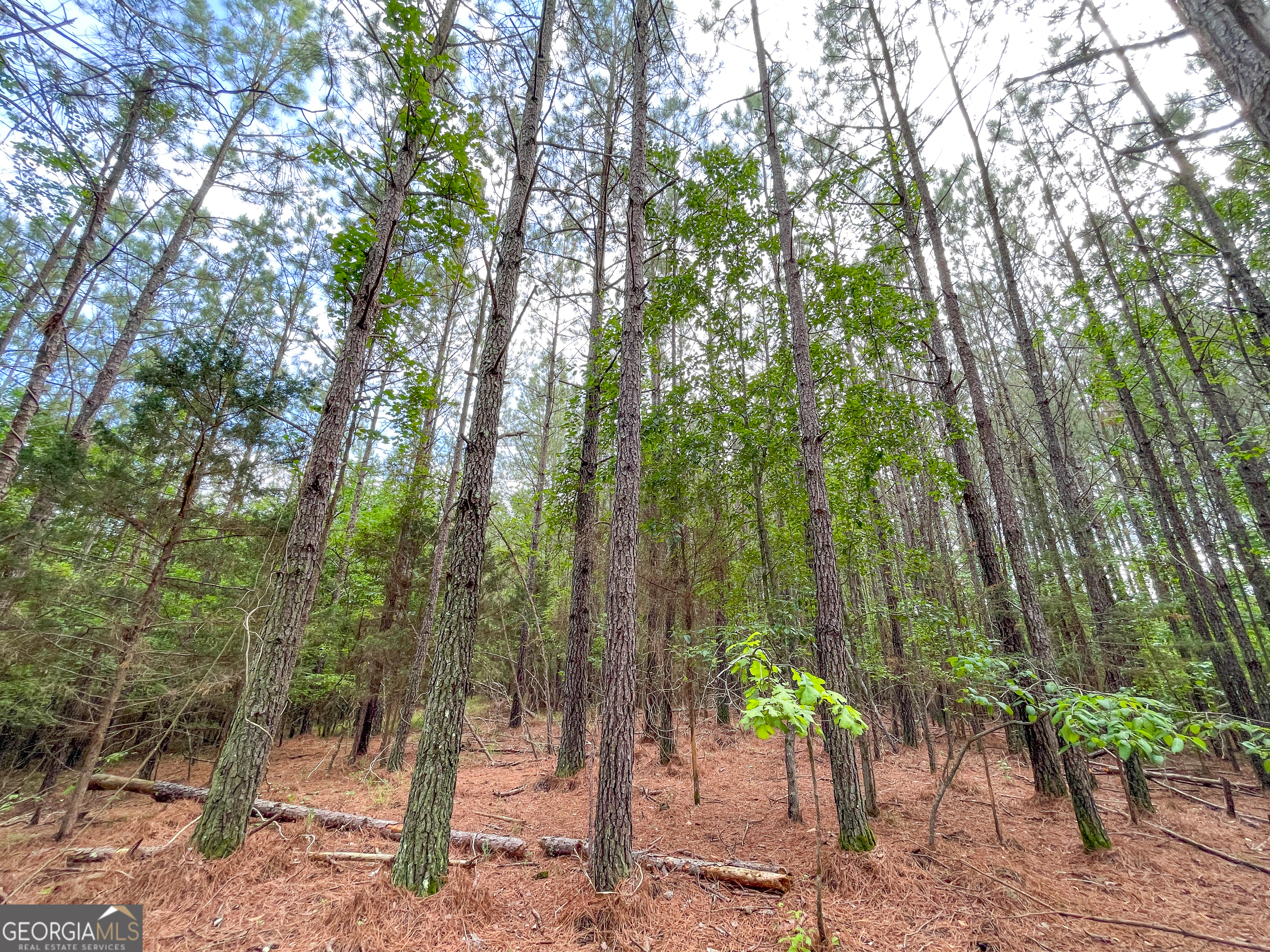 7517 Blacks Bluff Road Southwest Cave Spring, GA 30124 - Photo 50 of 57 a view of outdoor space and yard