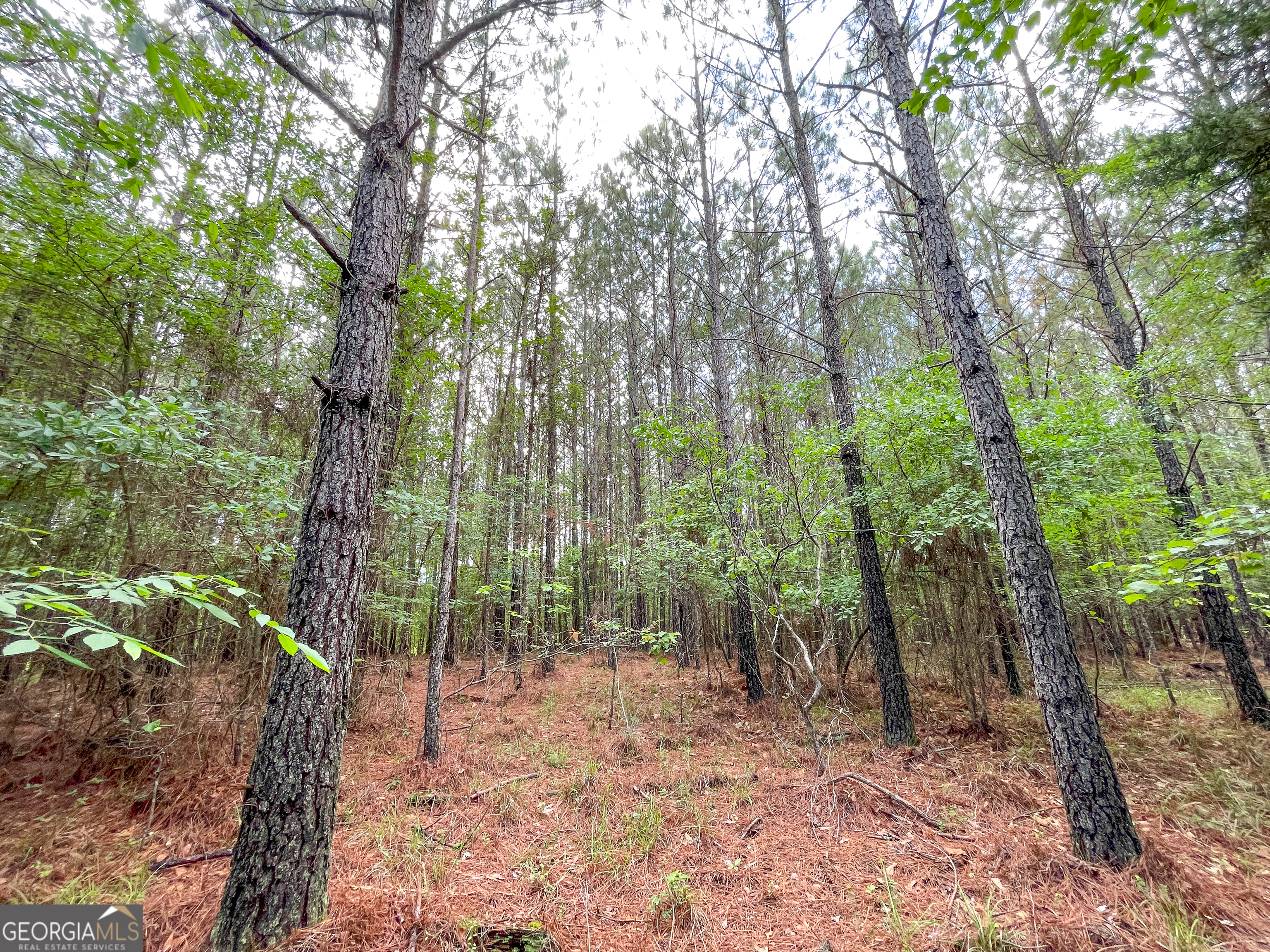 7517 Blacks Bluff Road Southwest Cave Spring, GA 30124 - Photo 54 of 57 a view of outdoor space and trees
