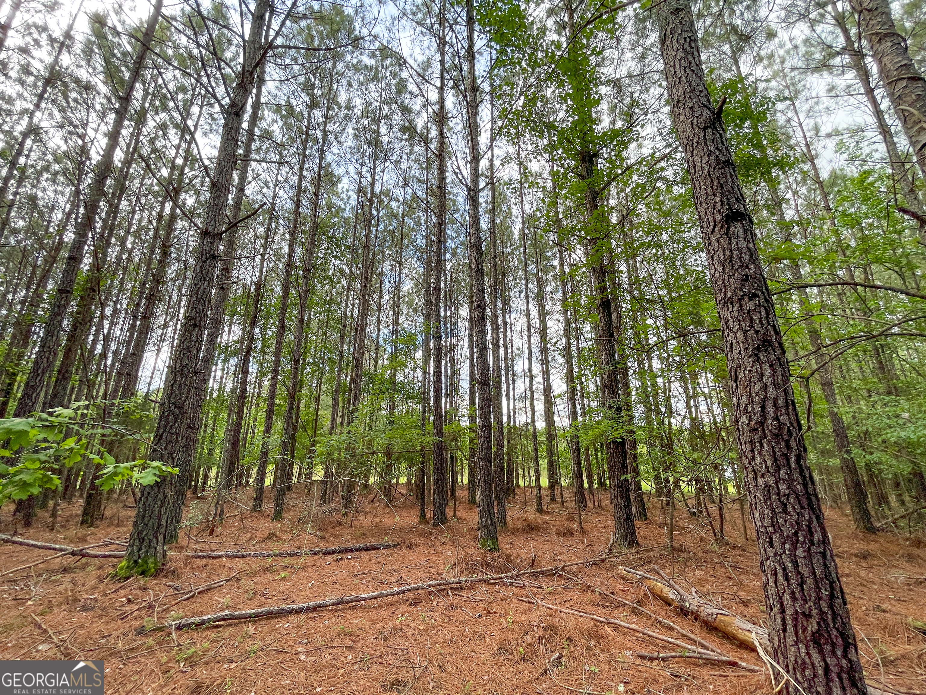 7517 Blacks Bluff Road Southwest Cave Spring, GA 30124 - Photo 7 of 57 a view of a backyard