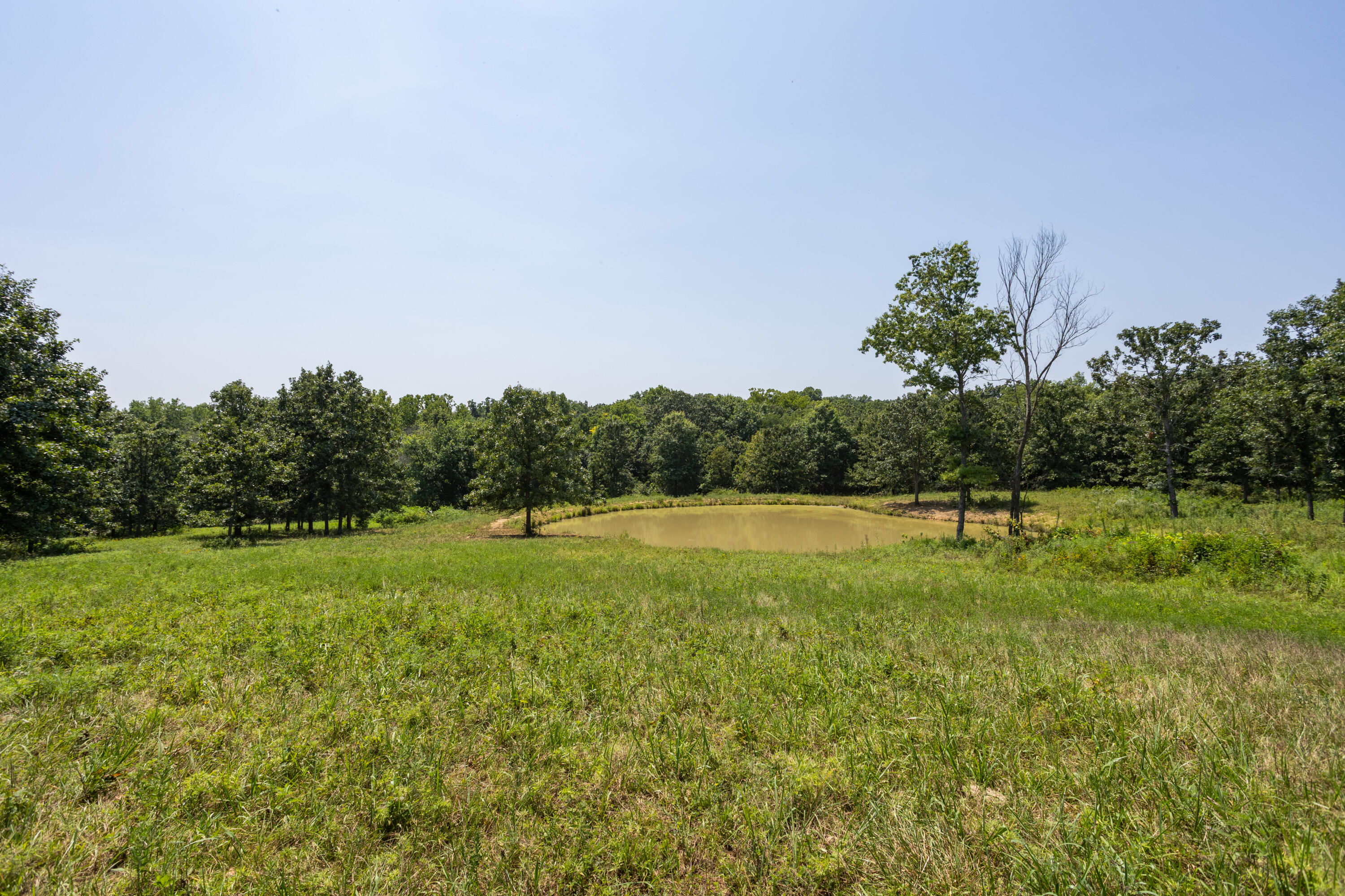 1059 Northeast 100th Road Lamar, MO 64759 - Photo 116 of 119 Barton290(MLSRES)-9