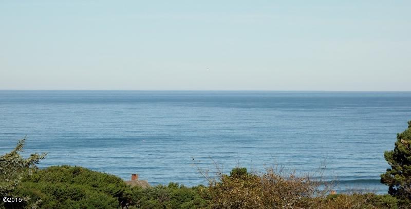 6 Ridge Crest Road Gleneden Beach, OR 97388 - Photo 2 of 40 Young15 019 (800x408)