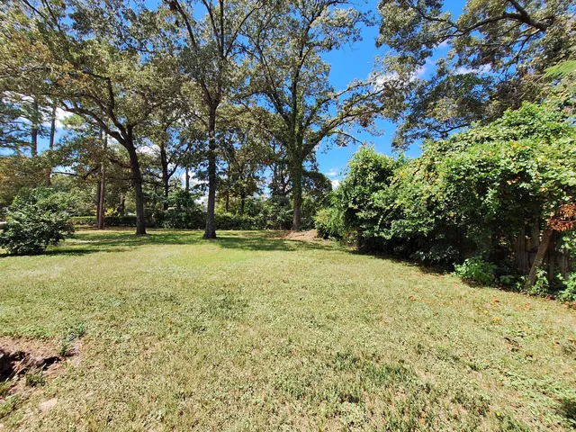 a view of field with large trees