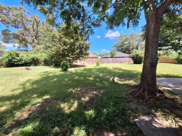 a view of a tree in the middle of a yard