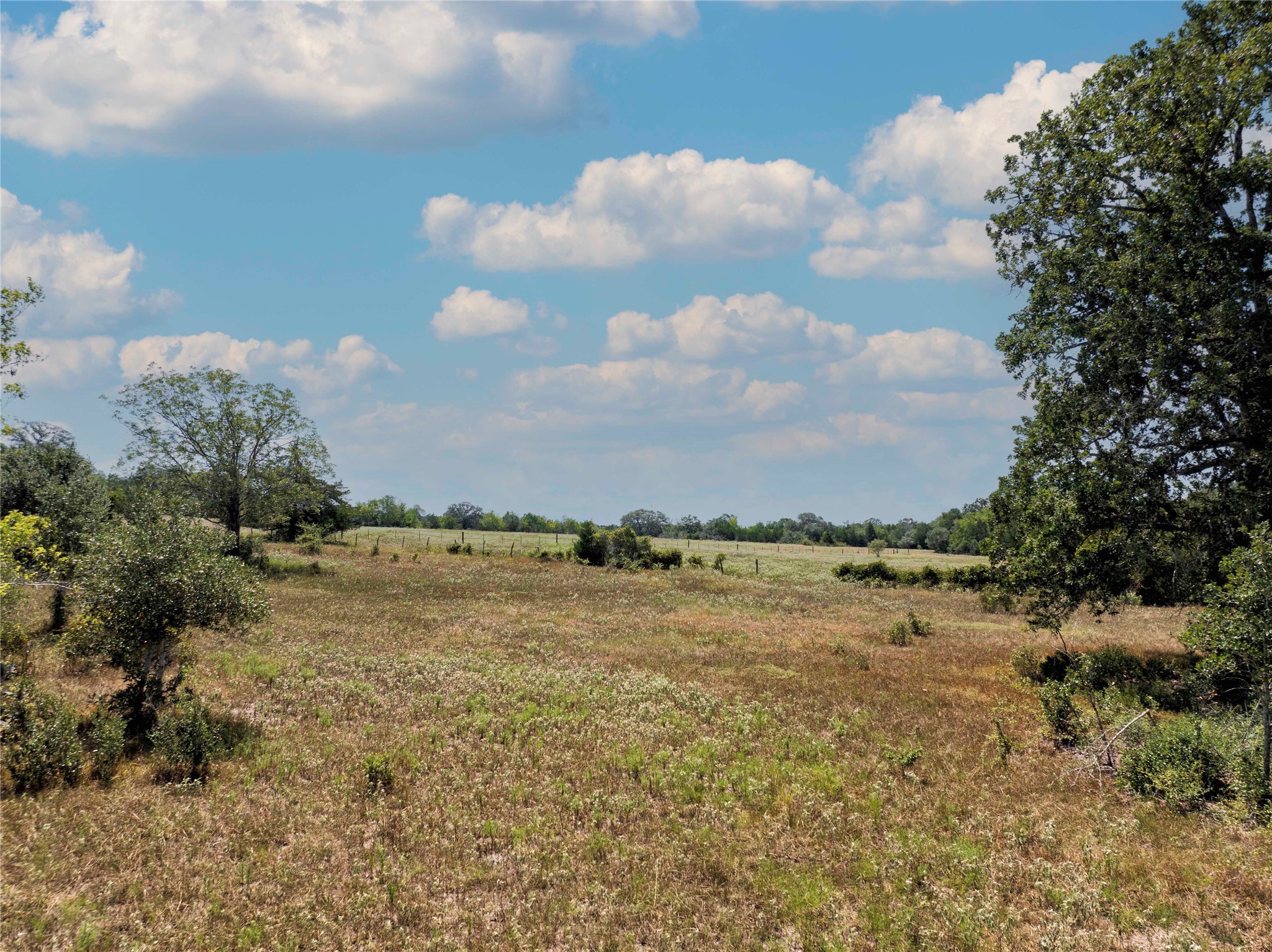 1830 Holub Road Schulenburg, TX 78956 - Photo 23 of 29 Gallery Image 23