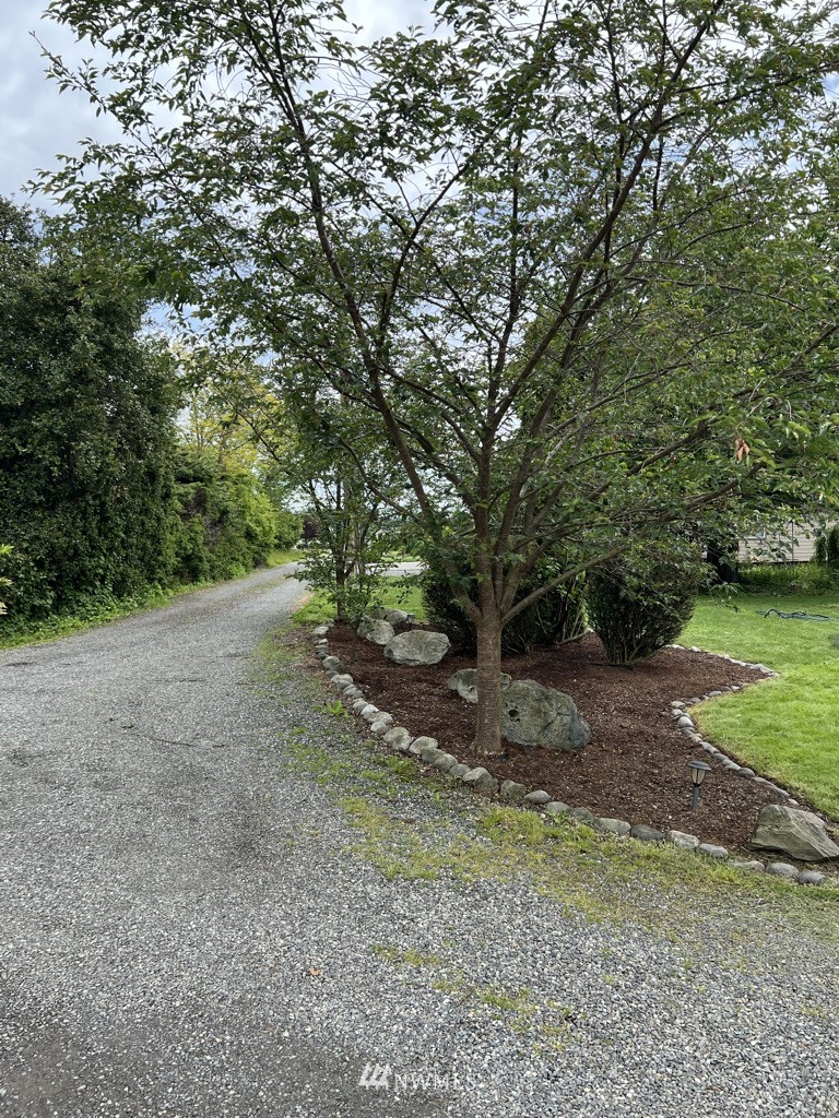1375 West Smith Road Ferndale, WA 98248 - Photo 7 of 19 a view of a yard with a tree