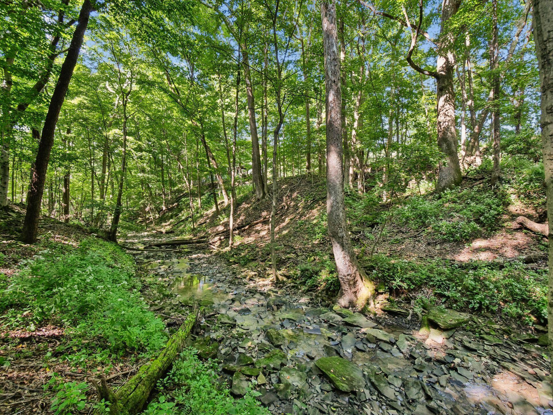 6218 Harlem Road Westerville, OH 43082 - Photo 45 of 146 043_ Westerville OH 43082 USA