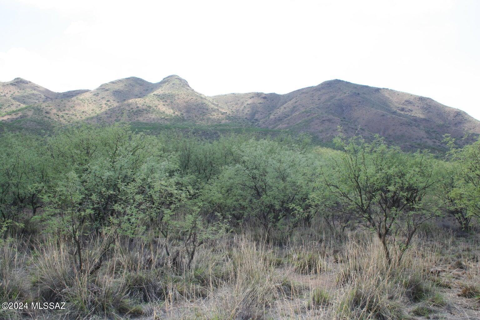 80 Morning Star Drive Rio Rico, AZ 85648 - Photo 7 of 30