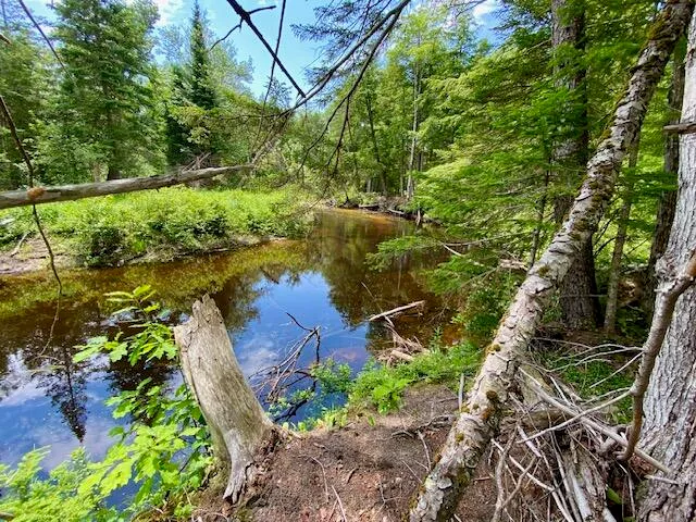 $150,000 | 0 Pratt Road, Parsonsfield, ME 04047