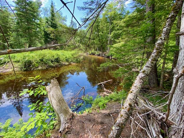 0 Pratt Road Parsonsfield, ME 04047 - Photo 13 of 15 IMG_3118
