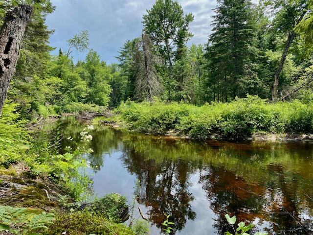 0 Pratt Road Parsonsfield, ME 04047 - Photo 14 of 15 IMG_3120