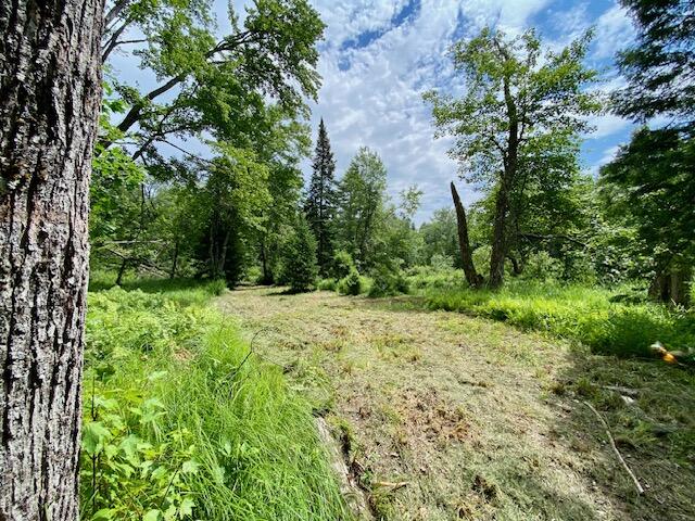 0 Pratt Road Parsonsfield, ME 04047 - Photo 5 of 15 IMG_3115