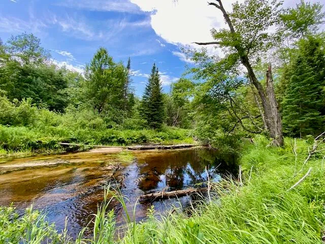 $150,000 | 0 Pratt Road, Parsonsfield, ME 04047