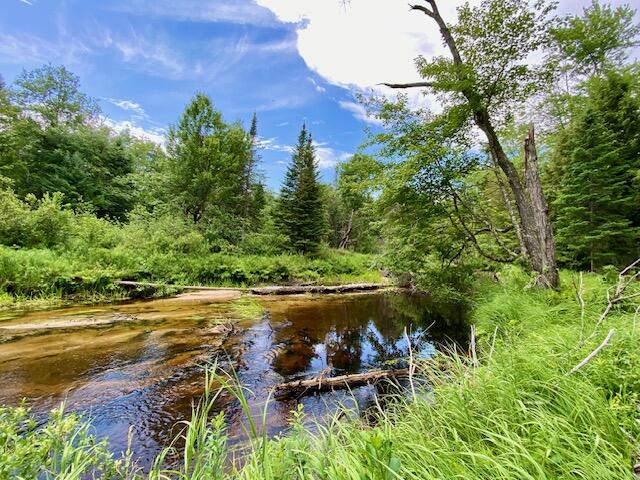 0 Pratt Road Parsonsfield, ME 04047 - Photo 9 of 15 IMG_3111