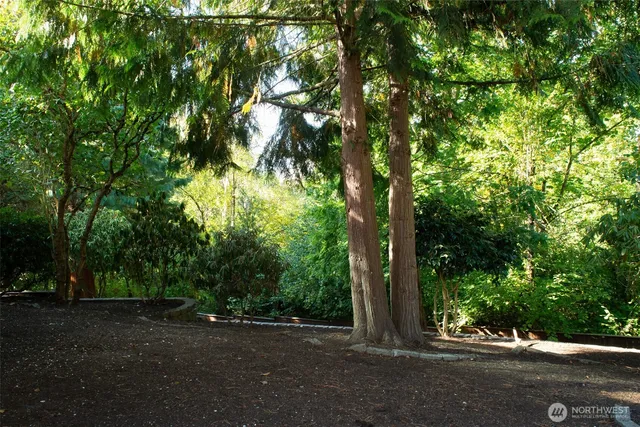 a view of road and trees