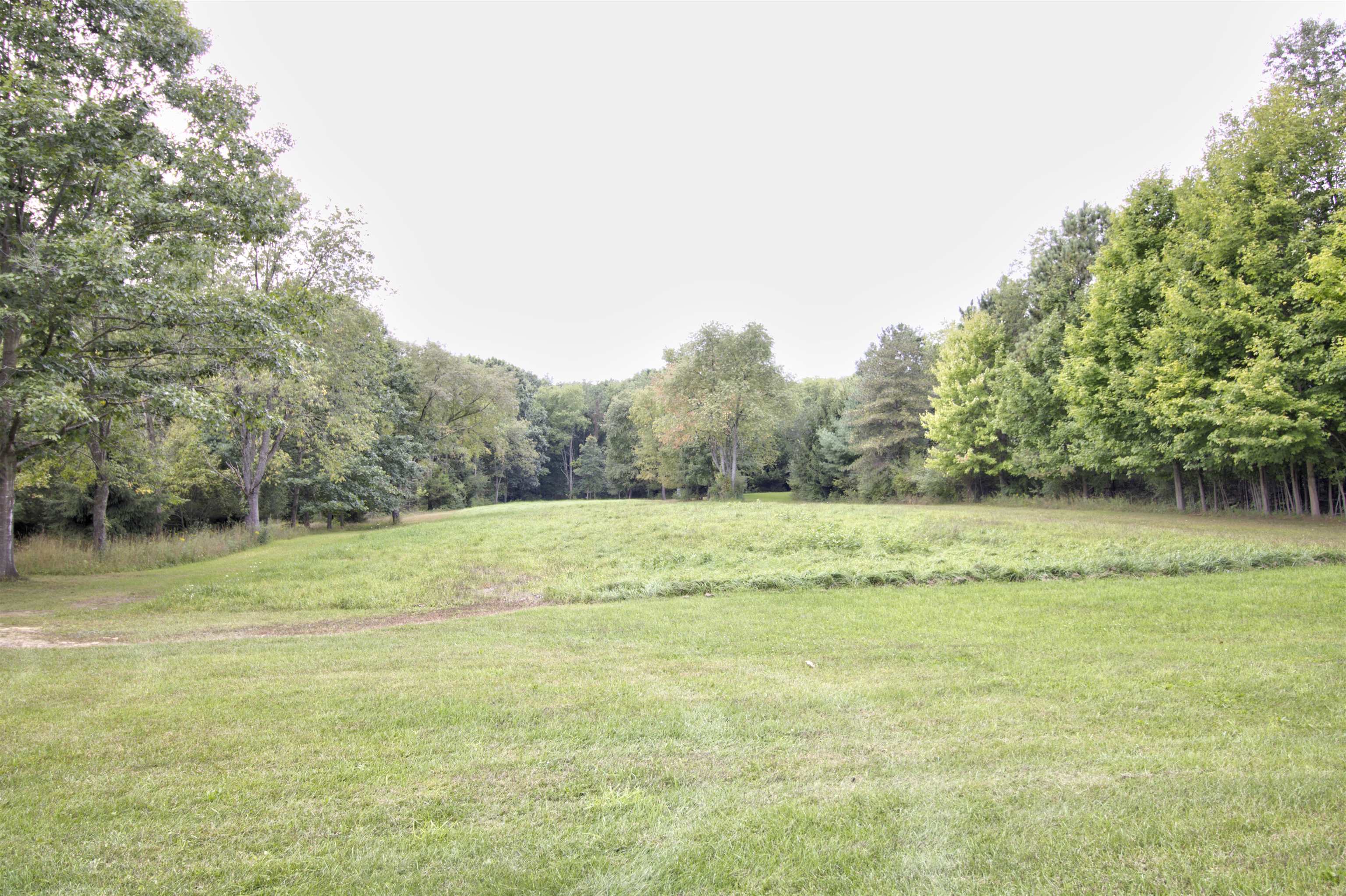 318 Mt Hope Road South Crystal, MI 48818 - Photo 33 of 33 1915902-32.JPG