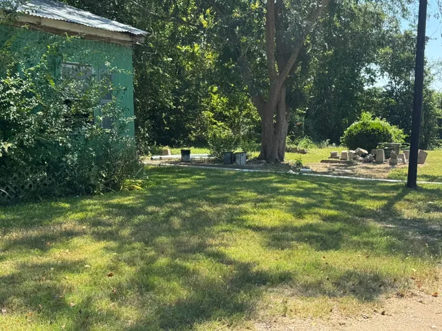 a view of a yard with a tree