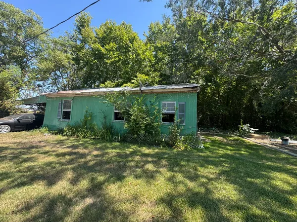 a backyard of a house with plants and large tree