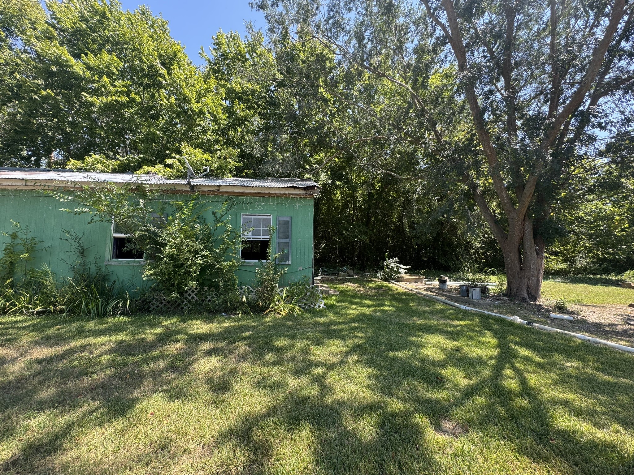 3002 County Road 166 Road Wharton, TX 77488 - Photo 6 of 6 a backyard of a house with plants and large tree