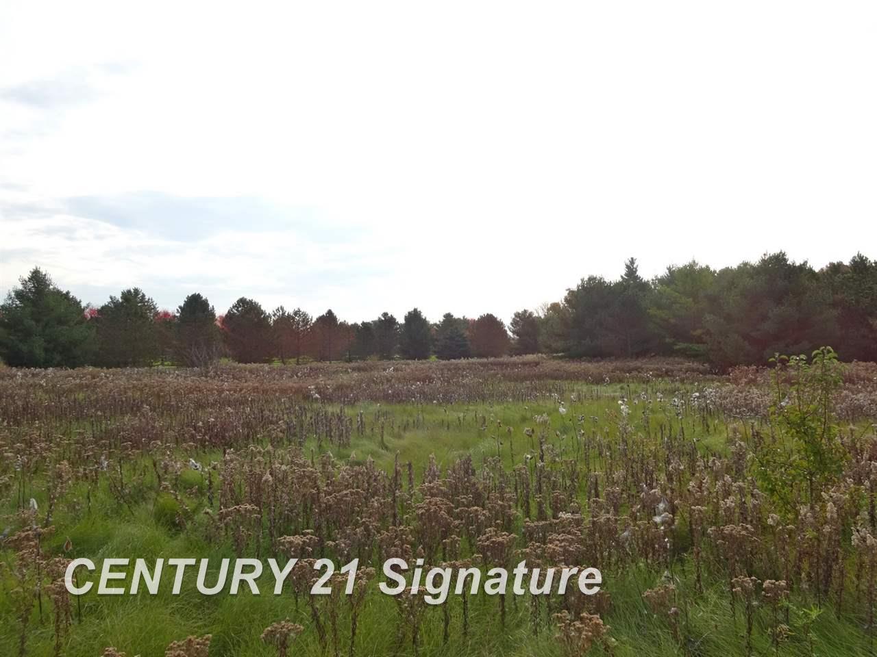 7159 Curtis Road Frankenmuth, MI 48734 - Photo 44 of 46