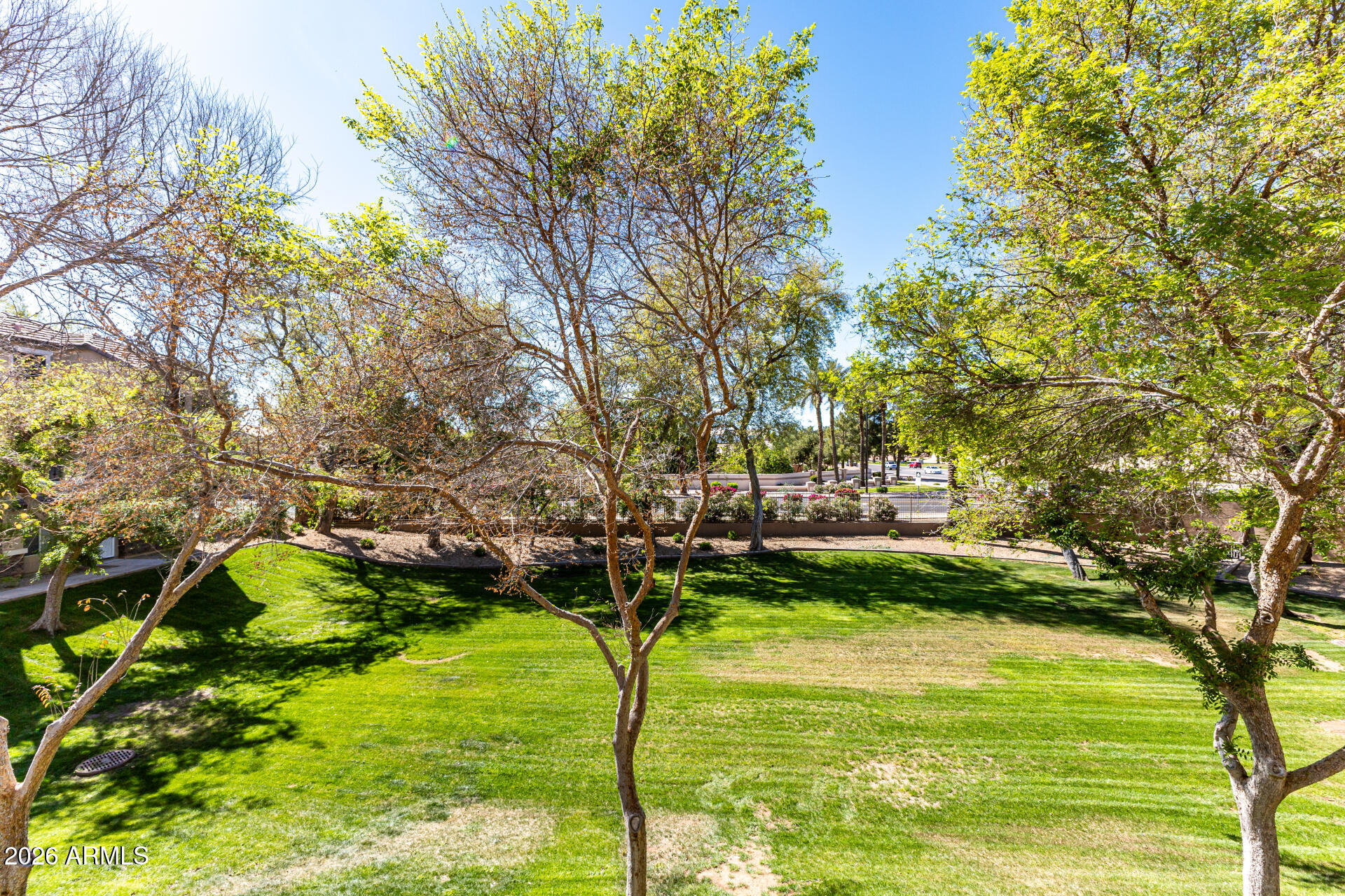 970 West Aspen Way Gilbert, AZ 85233 - Photo 26 of 36 a view of a yard with large trees