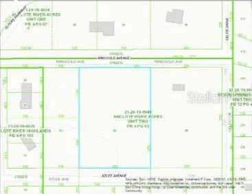 a close up of a garden