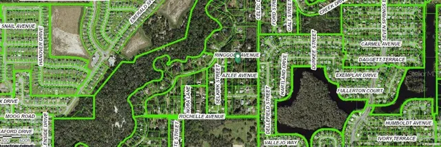 a close up of a garden