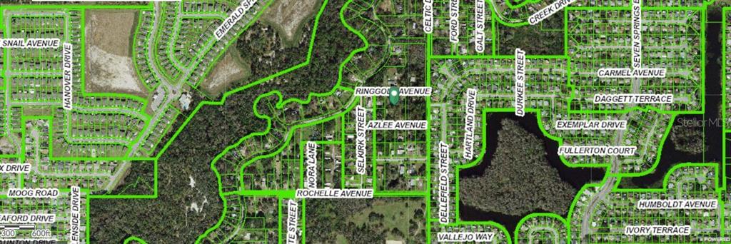 6927 Azlee Avenue New Port Richey, FL 34655 - Photo 7 of 8 a close up of a garden