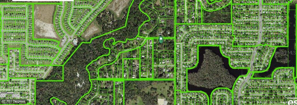 6927 Azlee Avenue New Port Richey, FL 34655 - Photo 8 of 8 a close up of a garden