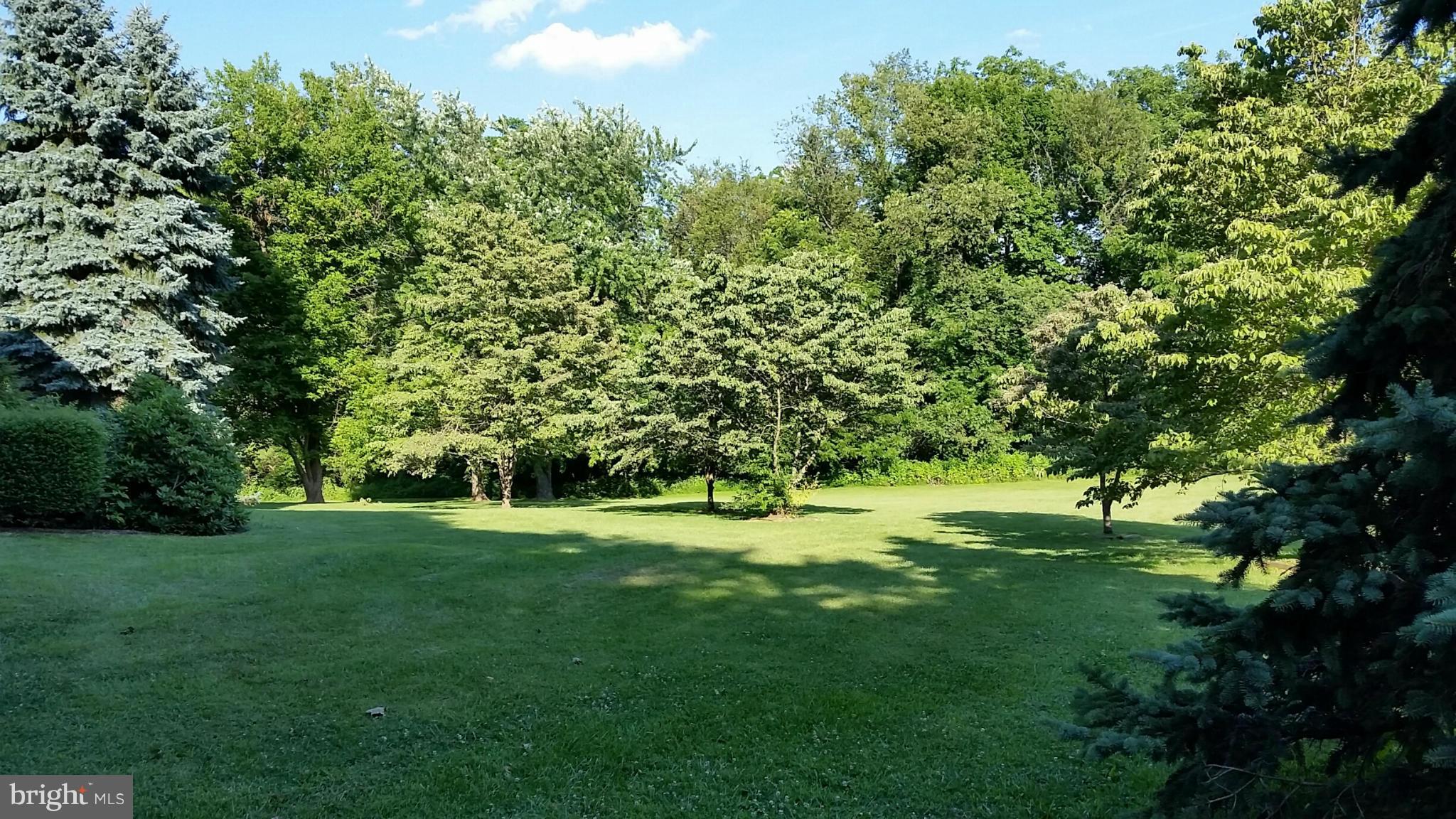 19613 Middletown Road Freeland, MD 21053 - Photo 2 of 17 side yard