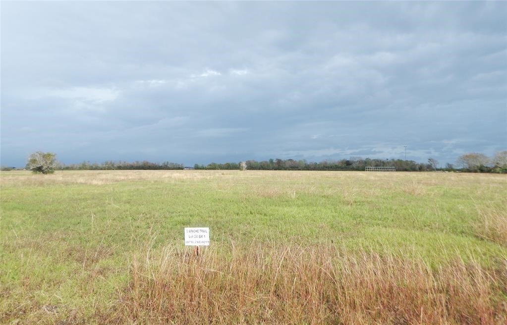 1793 Apache Angleton, TX 77515 - Photo 4 of 9