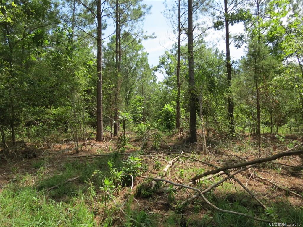 20-ac 20-ac Peden Bridge Road Chester, SC 29706 - Photo 2 of 10 a view of outdoor space and trees all around