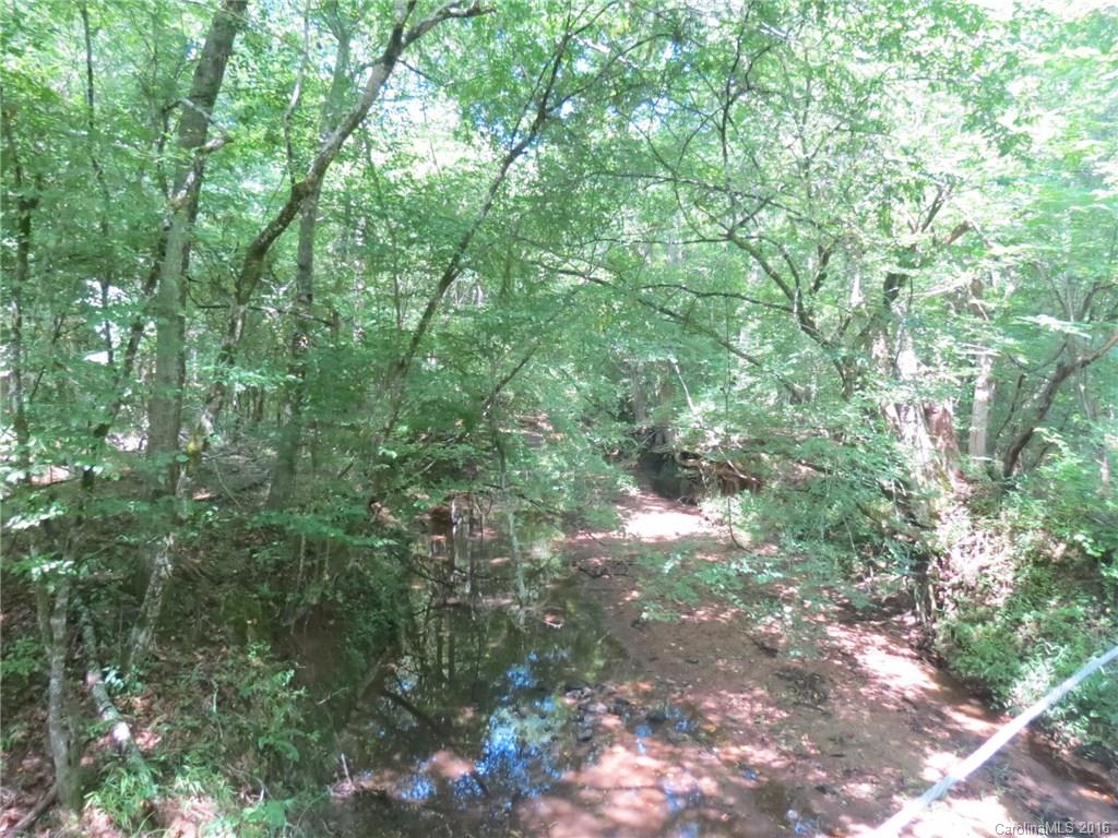 20-ac 20-ac Peden Bridge Road Chester, SC 29706 - Photo 4 of 10 a view of forest