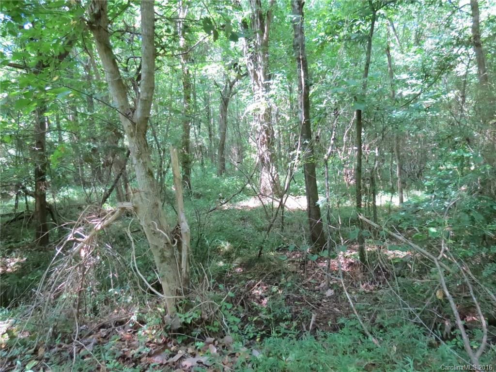 20-ac 20-ac Peden Bridge Road Chester, SC 29706 - Photo 6 of 10 a view of a forest with lots of trees
