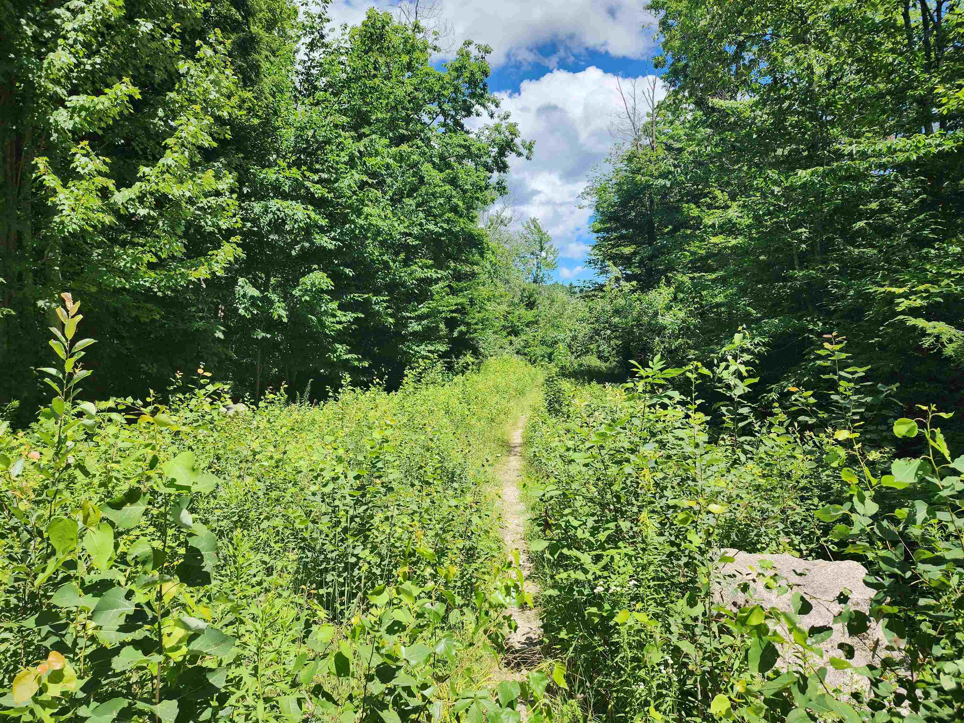 0 Ledgewood Road North Conway, NH 03860 - Photo 10 of 21