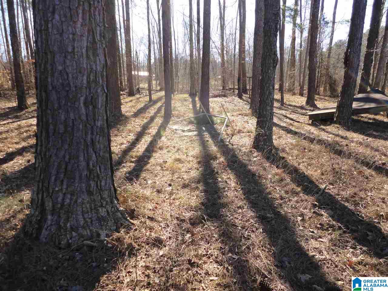 445 Crawfish Lane, Unit 14 15 Ragland, AL 35131 - Photo 4 of 8