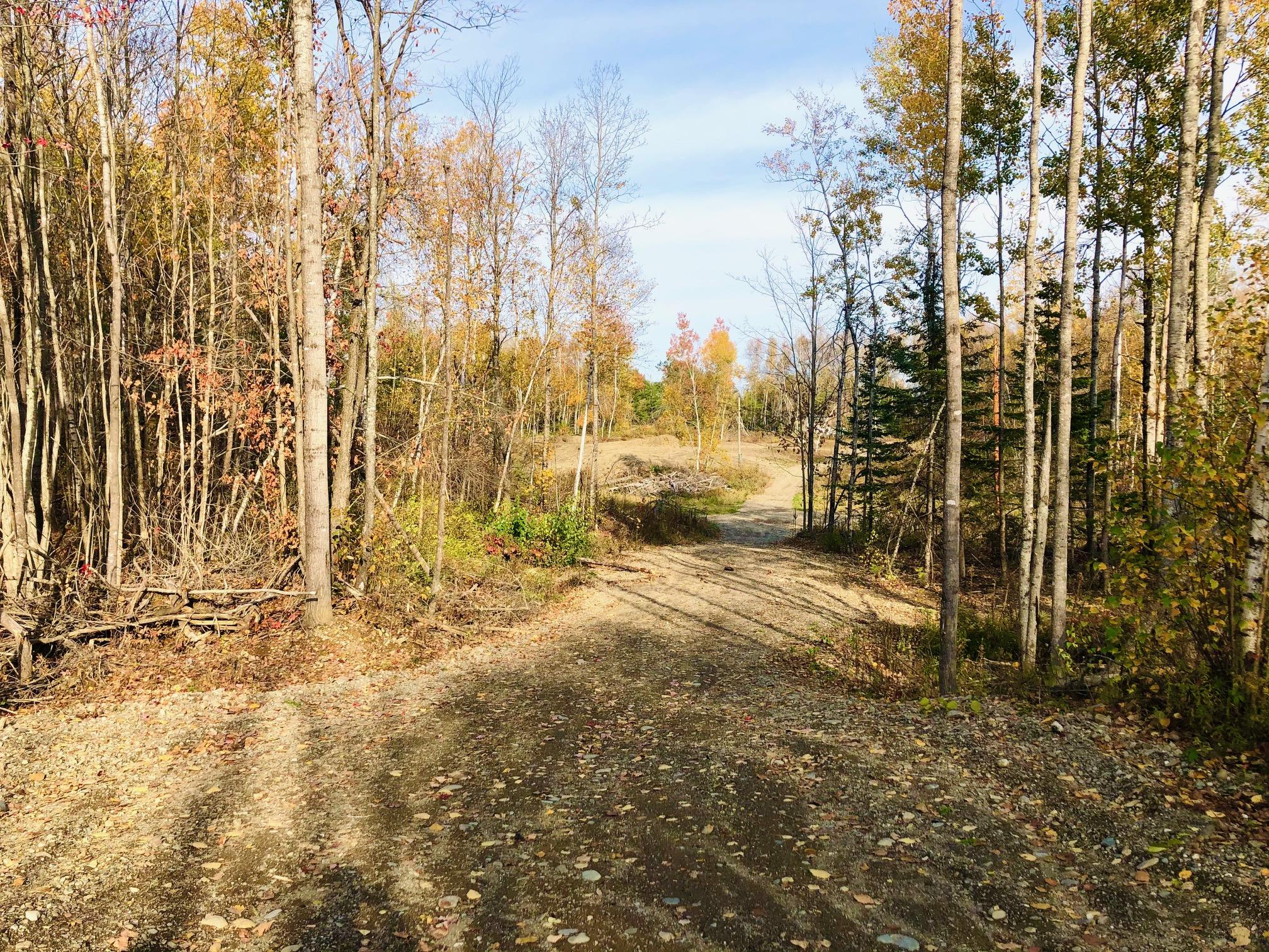 0 Pine Tree Road Hermon, ME 04401 - Photo 3 of 8 IMG_2