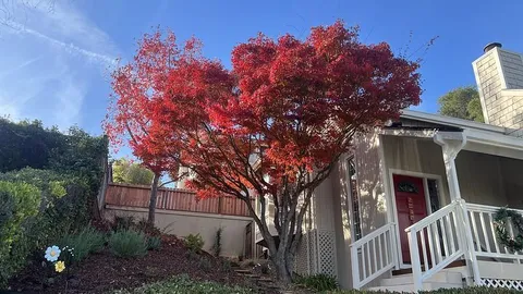 $3,688,000 | 22208 Quinterno Court, Cupertino, CA 95014