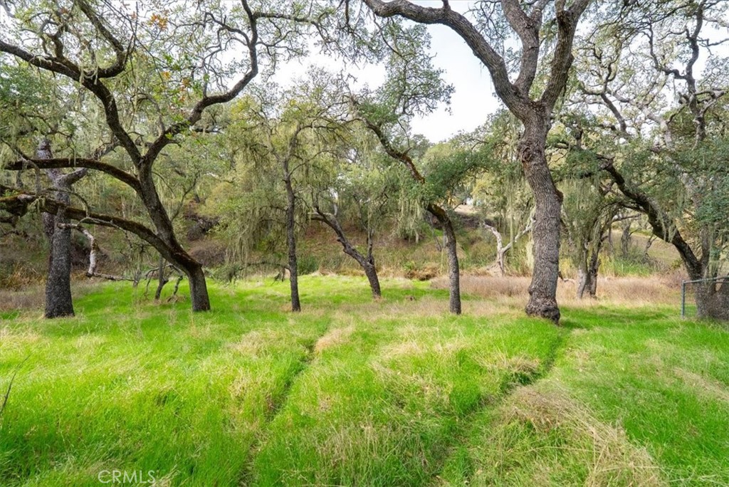 1505 Barley Grain Road Paso Robles, CA 93446 - Photo 45 of 56
