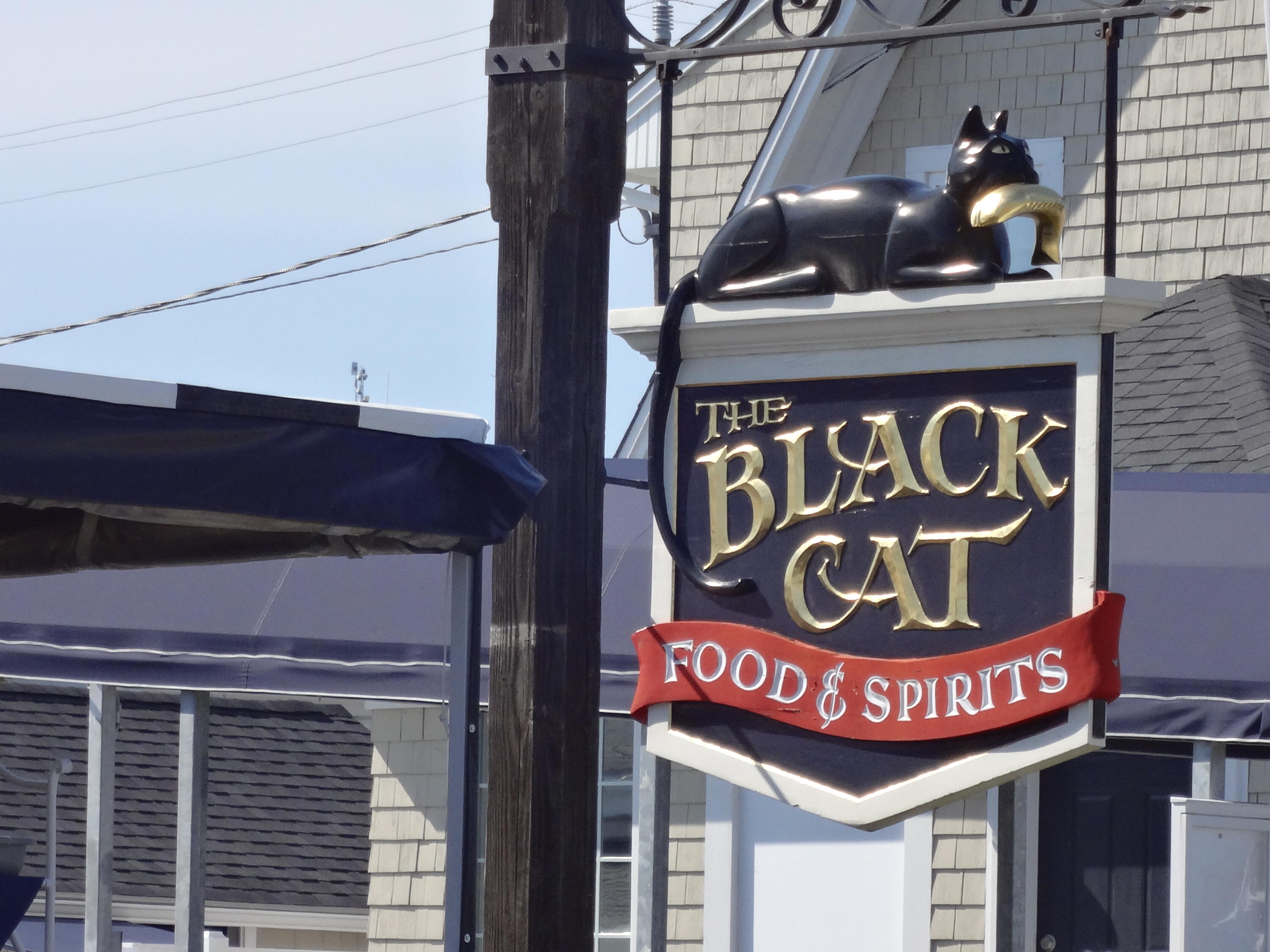 173 Nottingham Drive Centerville, MA 02632 - Photo 48 of 54 Hyannis Black Cat