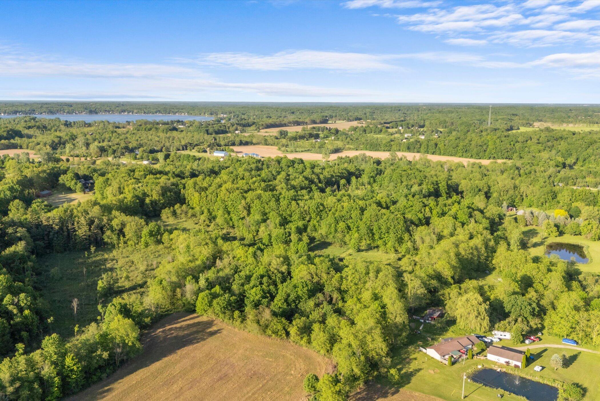 15300 Rome Road Manitou Beach, MI 49253 - Photo 40 of 59 15-DJI_20260517192740_0390_D