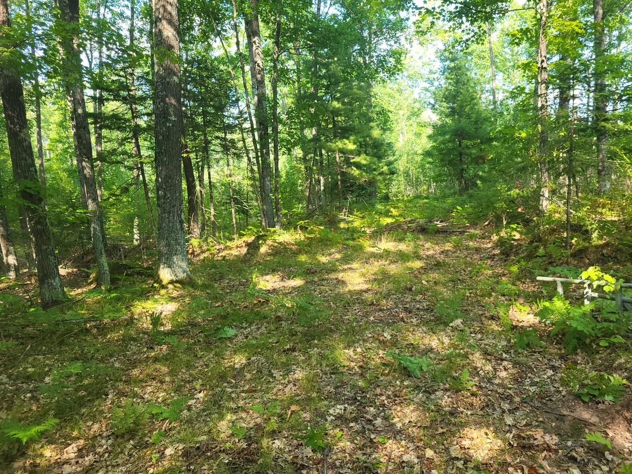 W9460 1 Mile Road Dunbar, WI 54119 - Photo 31 of 56 Gallery Image 31