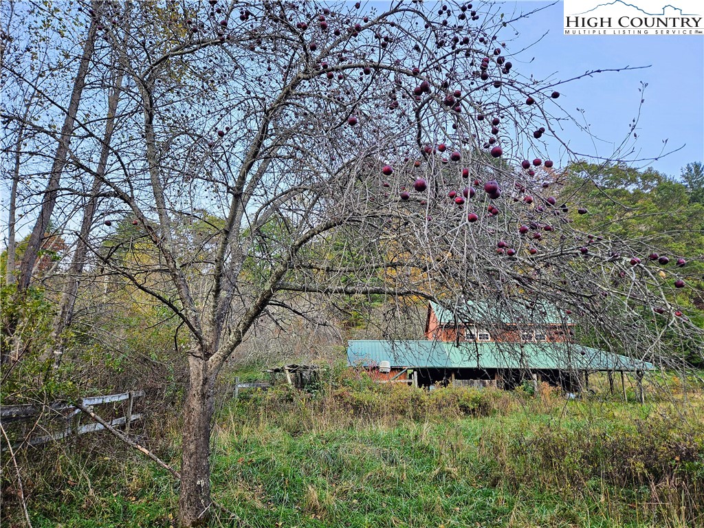 440 Zion Methodist Church Road Todd, NC 28684 - Photo 15 of 23 Gallery Image 15