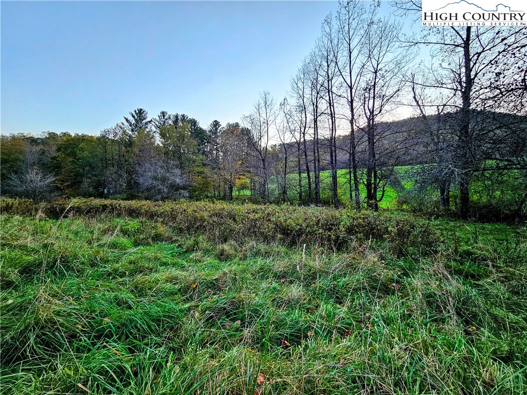 440 Zion Methodist Church Road Todd, NC 28684 - Photo 16 of 23 Gallery Image 16